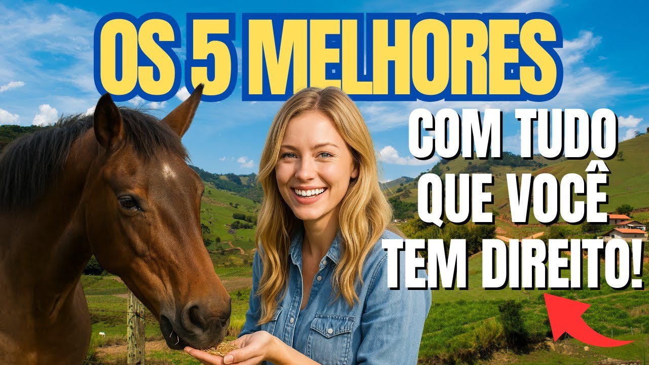 Melhores Hotéis fazenda de Minas Gerais - CONFIRA PREÇOS, AVALIAÇÕES E ATRAÇÕES ATUALIZADO 2025✅ 11 hotel em Betim